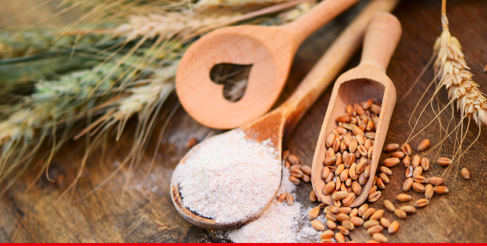 Roggenkrner mit Roggenmehl